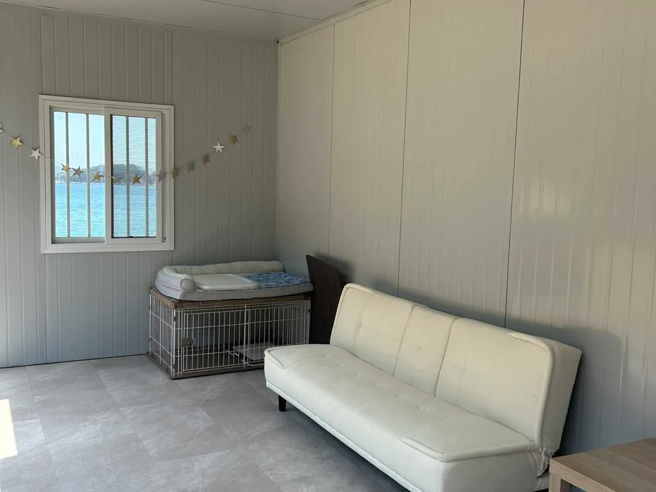 Pet Room 3